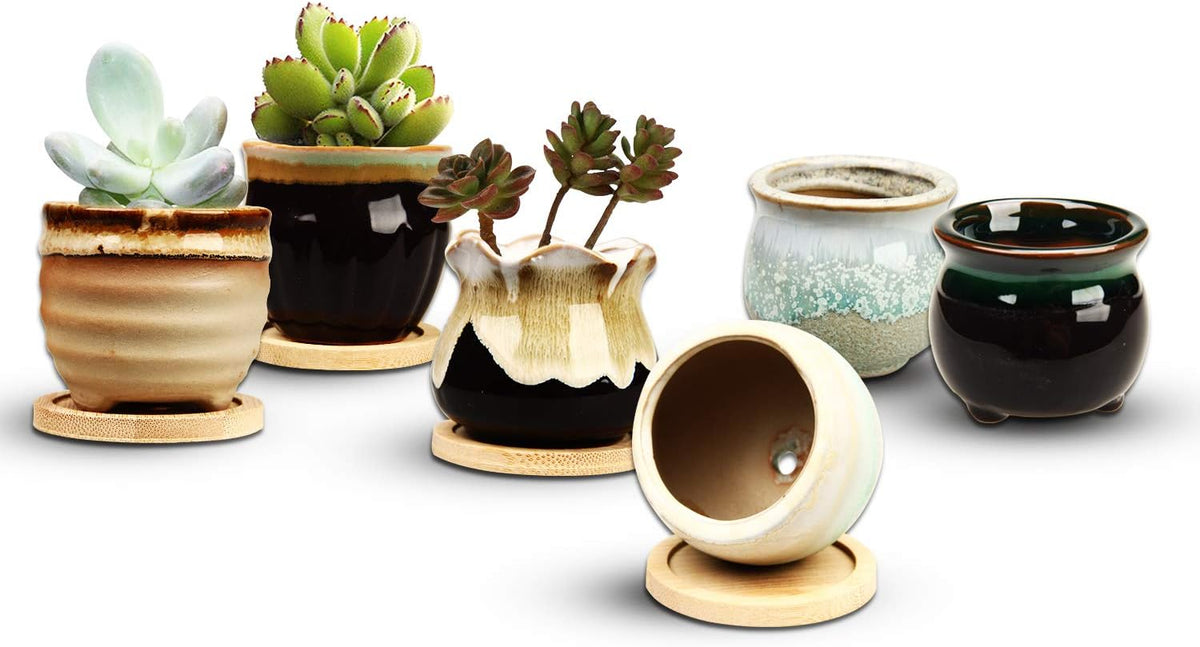 Mini Succulent Pots Set of 6, 2" Ceramic Flowing Glaze