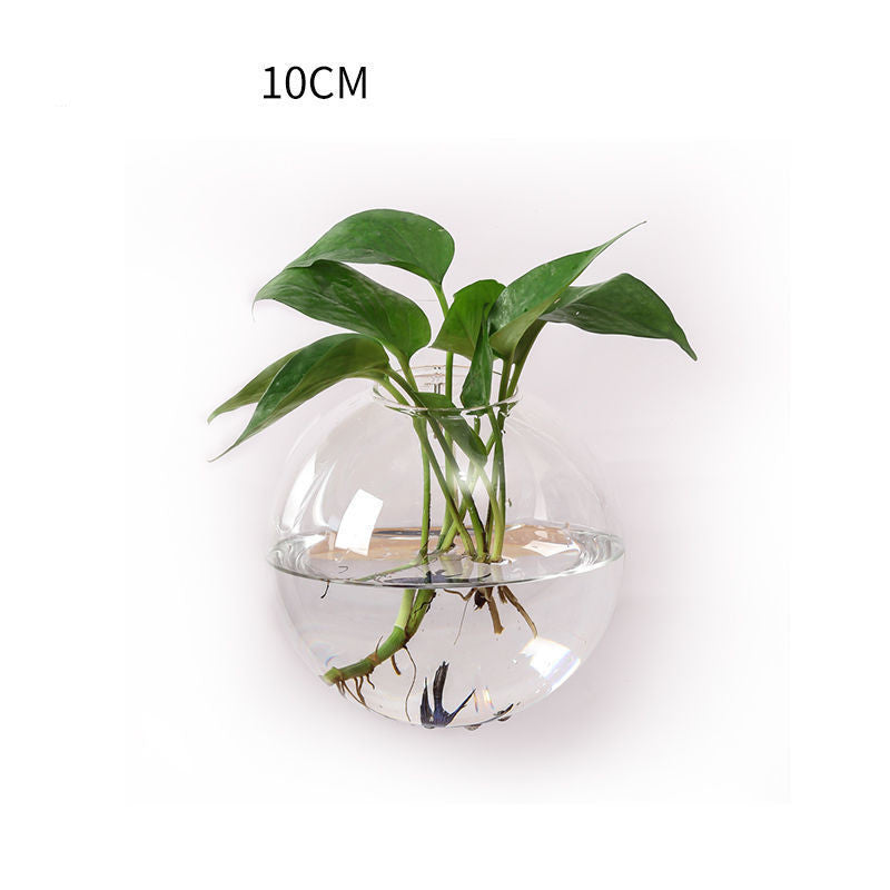 Wall Glass Terrarium, Hanging Bubble Planter