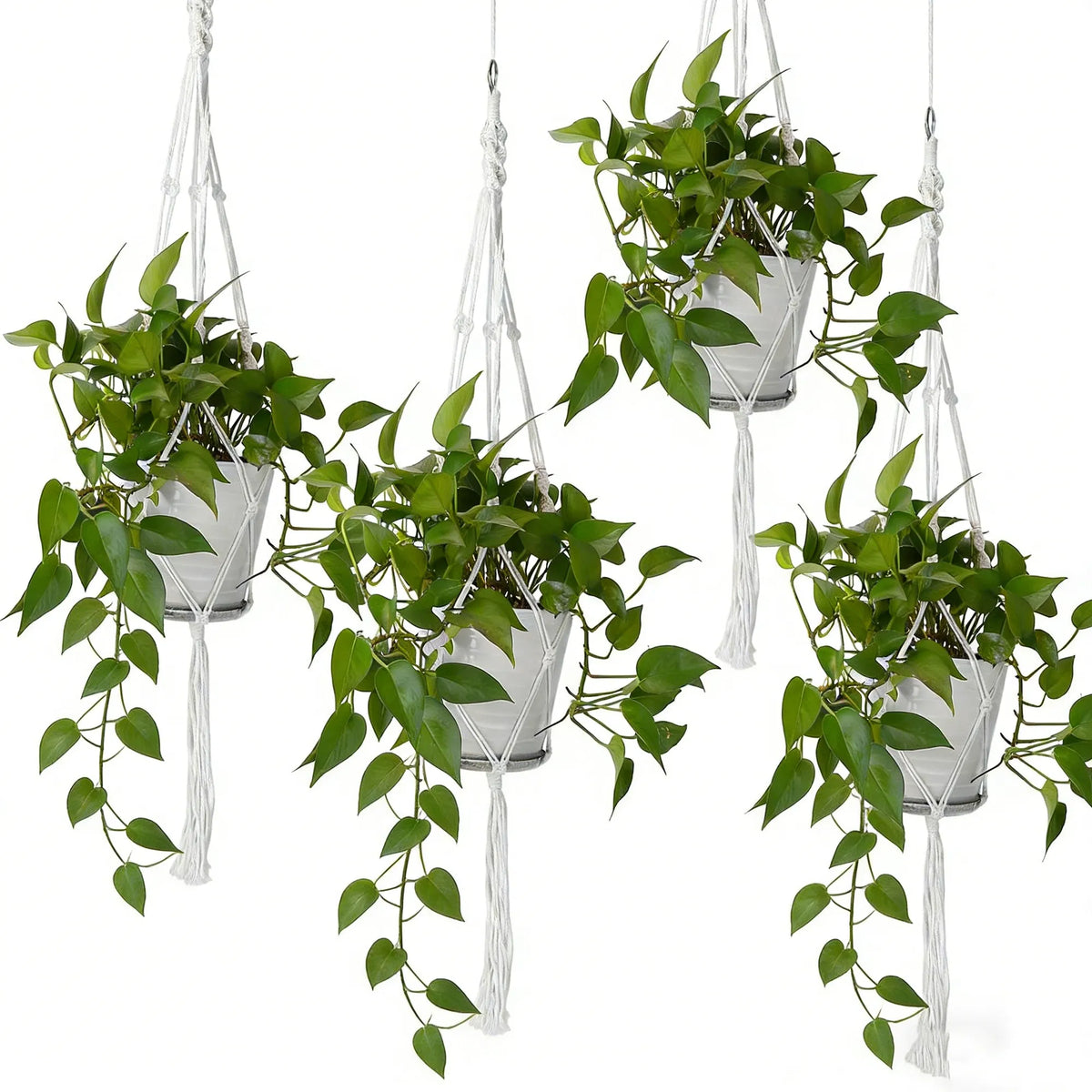 Rope Plant Hangers 4 Pack, Heavy Duty 40" Cotton Blend
