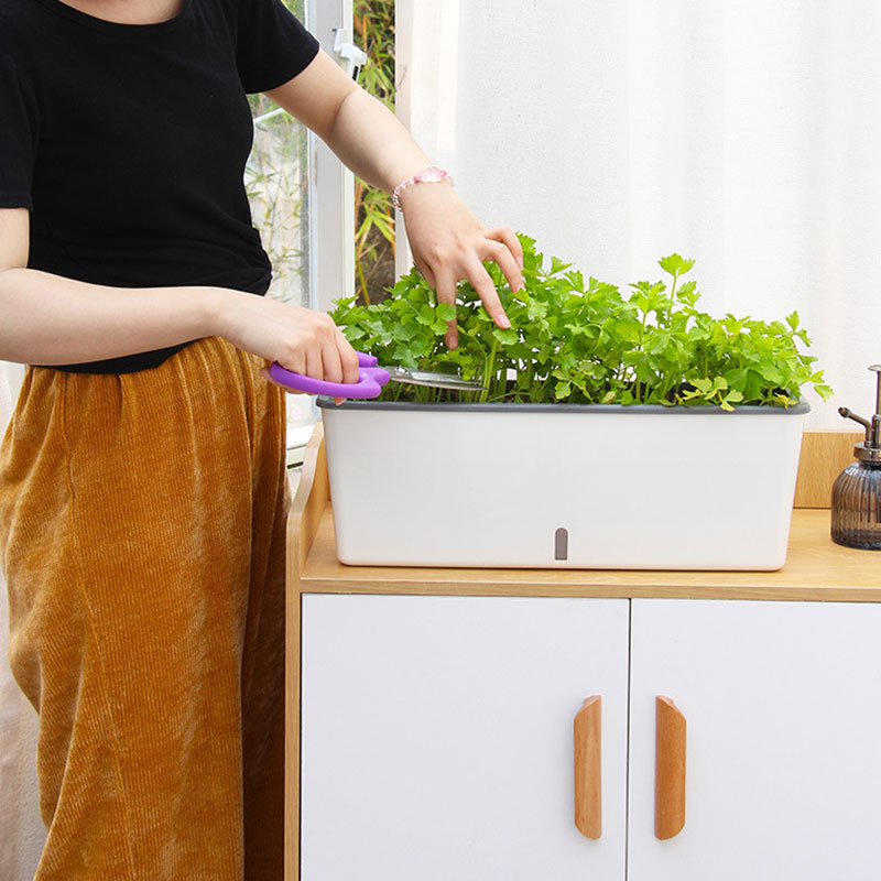 Self-Watering Window Box Planter, Long Rectangular Pot