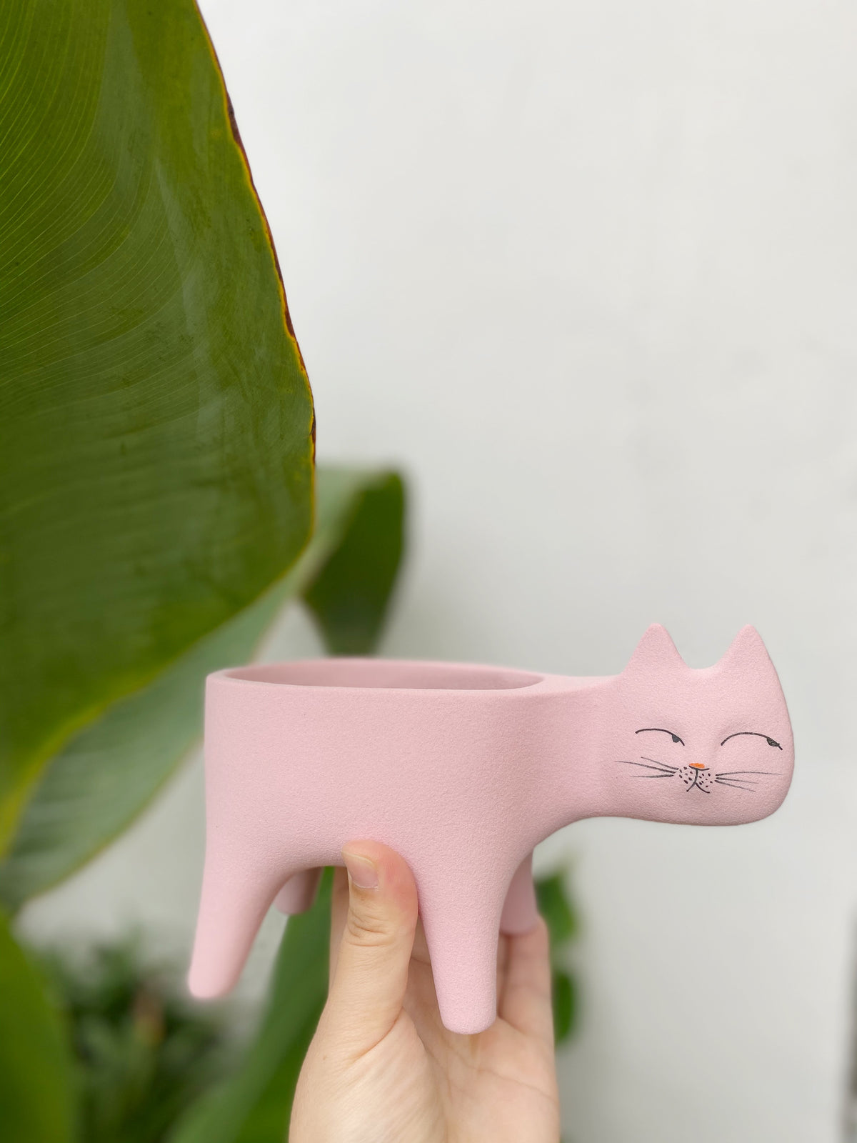 Cat Succulent Pot, Handmade Frosted Ceramic Planter