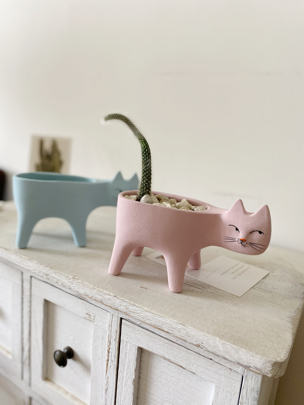 Cat Succulent Pot, Handmade Frosted Ceramic Planter