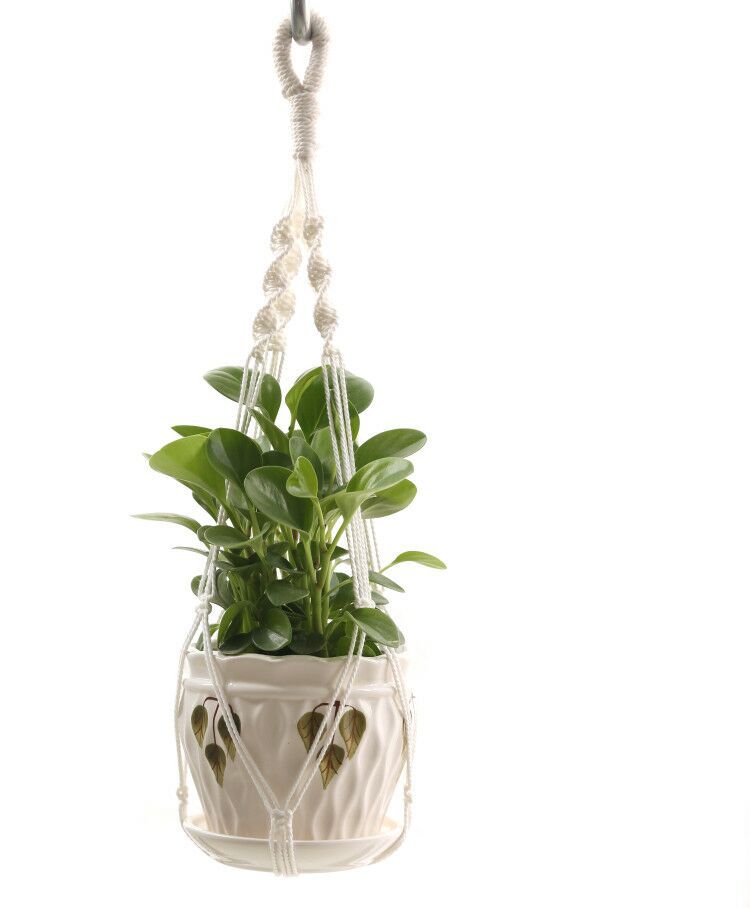 Macrame Wall Plant Hanger, Handmade Cotton for 4-6" Pots