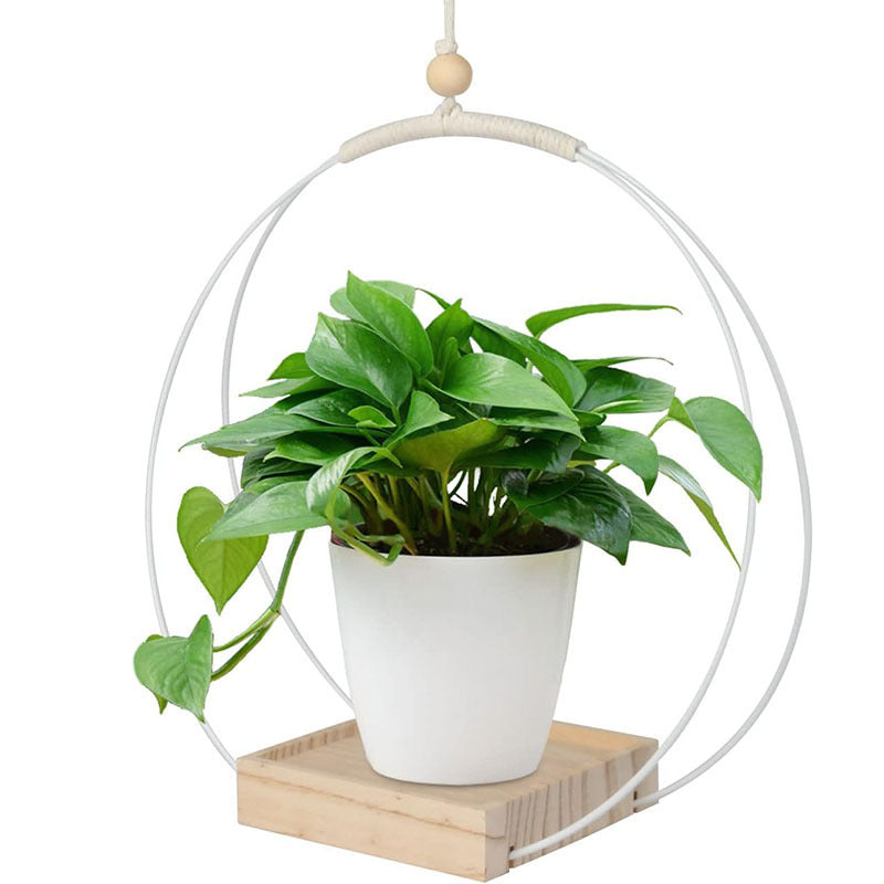 Geometric Hanging Planter, Metal Frame with Wood Base