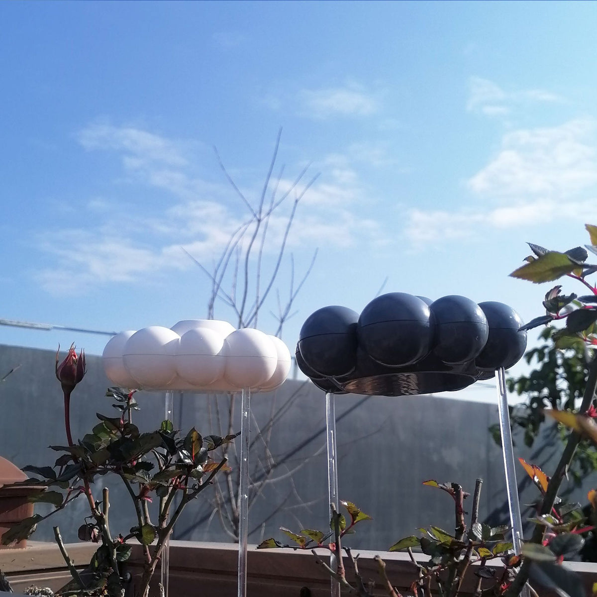 Rain Cloud Watering Stake, Self-Watering Plant Globe