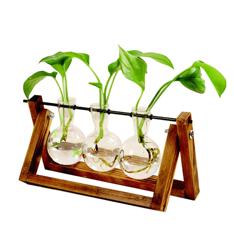 Hydroponic Glass Vase in Swing Wood Stand, 1 or 2 Bulbs