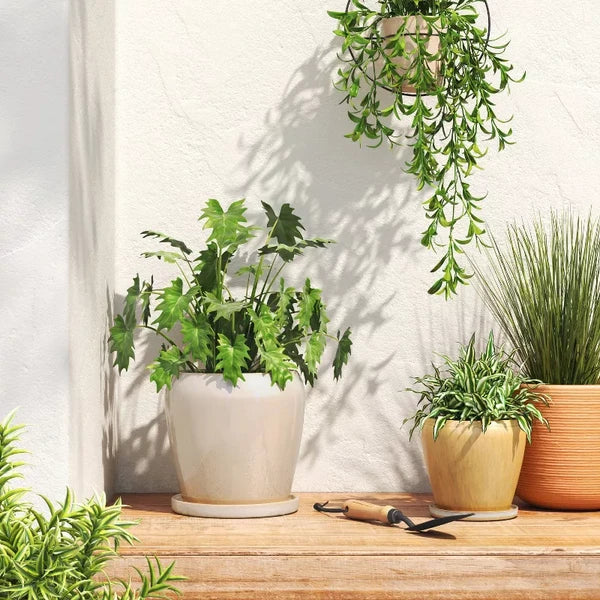 Reactive Glaze Ceramic Planter 8" with Drainage Hole