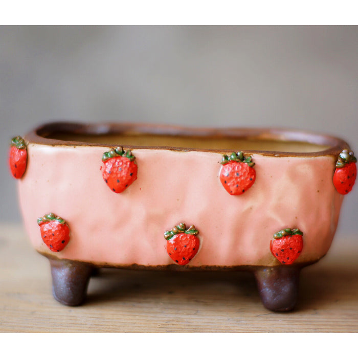 Strawberry Succulent Pot, Hand-Painted Stoneware