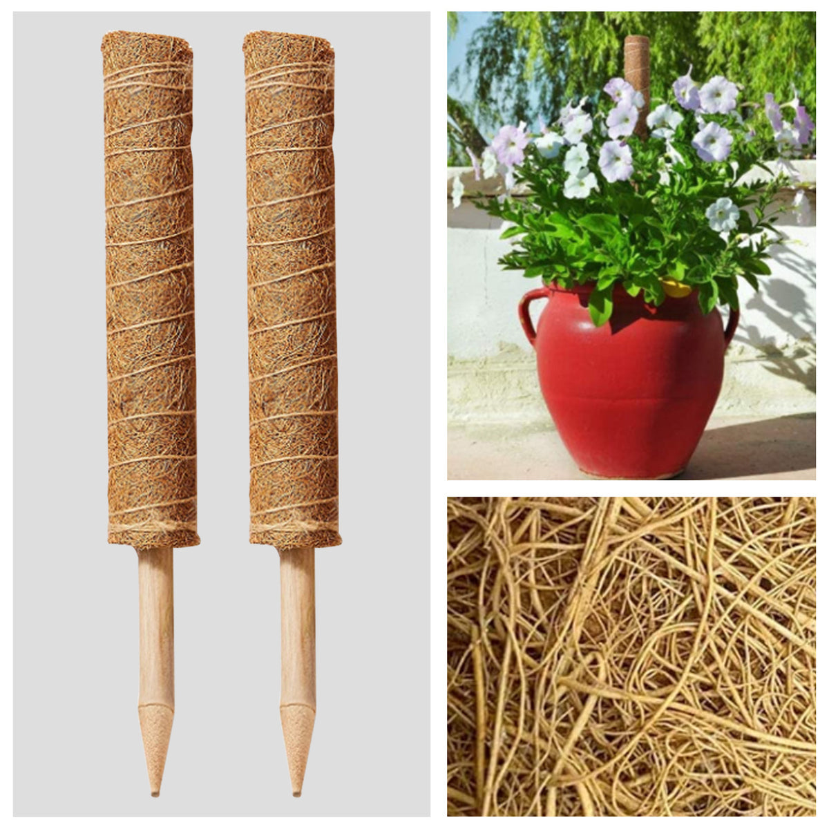 Coco Coir Moss Pole for Monstera, Extendable Totem
