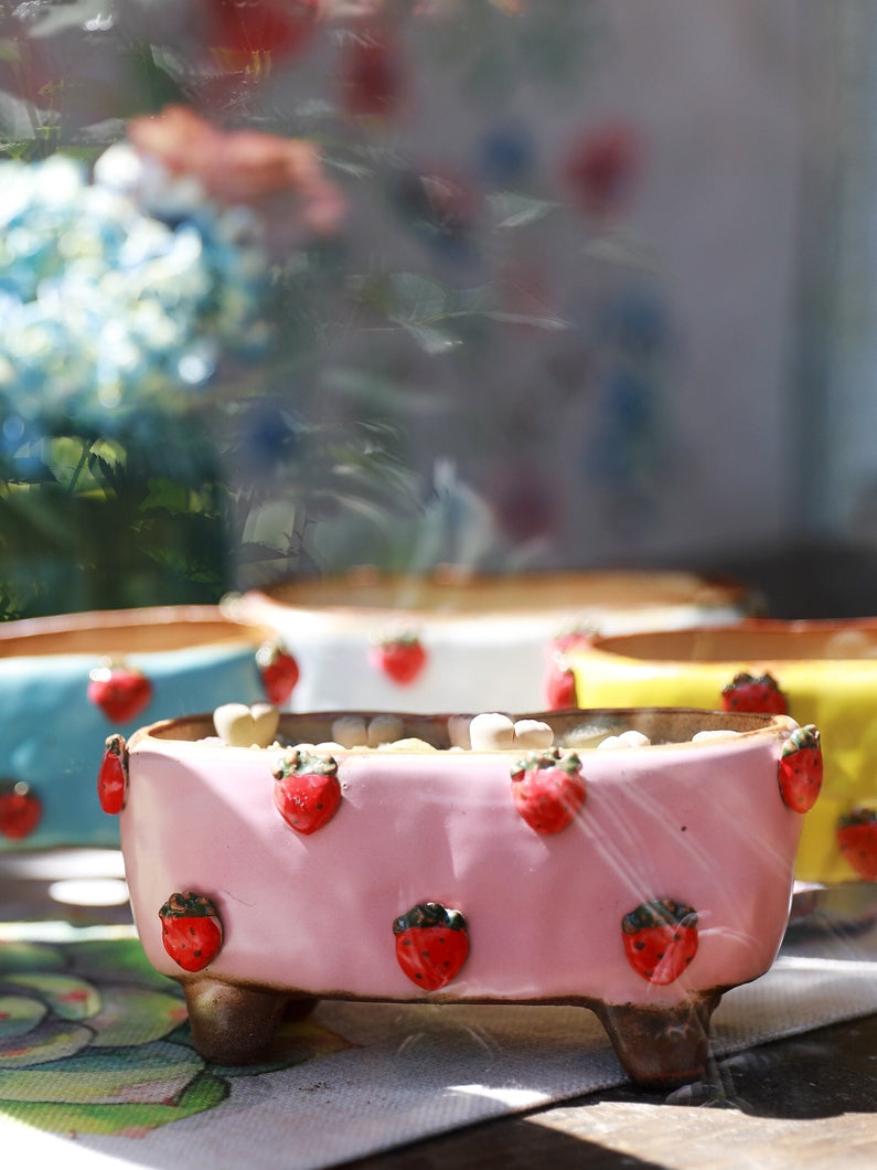 Strawberry Succulent Pot, Hand-Painted Stoneware