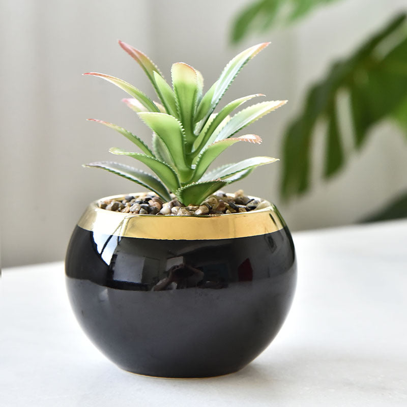 Nordic Ceramic Succulent Pot with Iron Stand Option