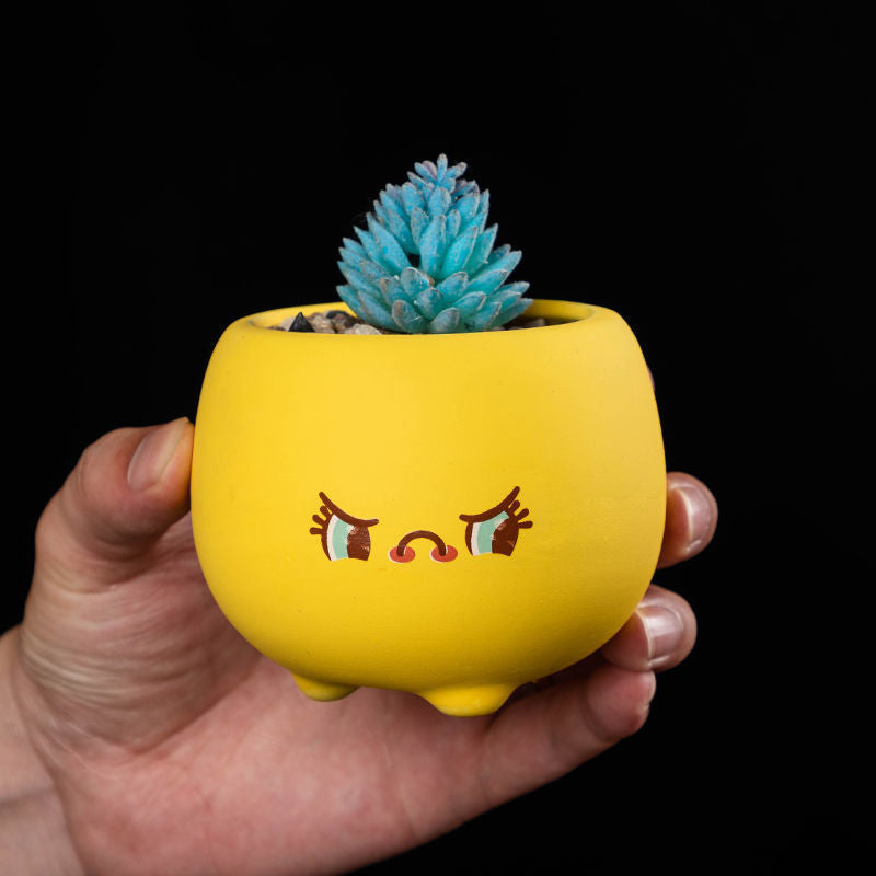 Mini Succulent Pots Set of 5, 2.8" Glazed Ceramic