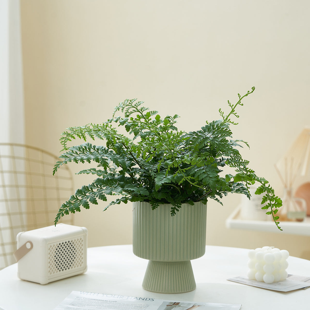 Ribbed Ceramic Planter, Nordic Striped Tabletop Pot