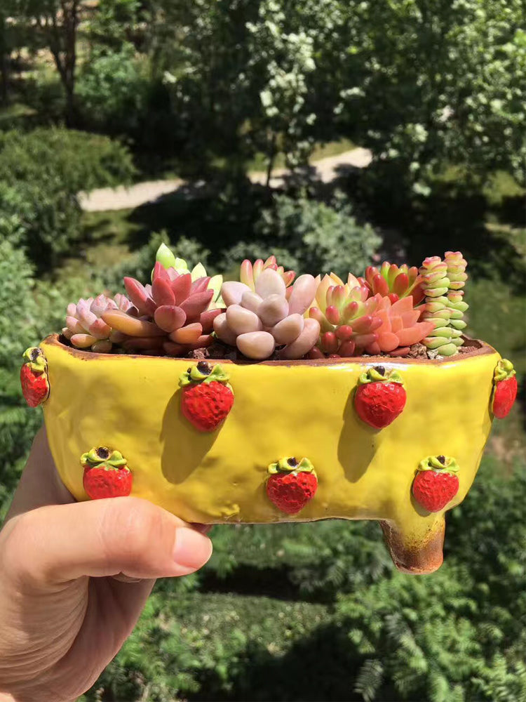 Strawberry Succulent Pot, Hand-Painted Stoneware
