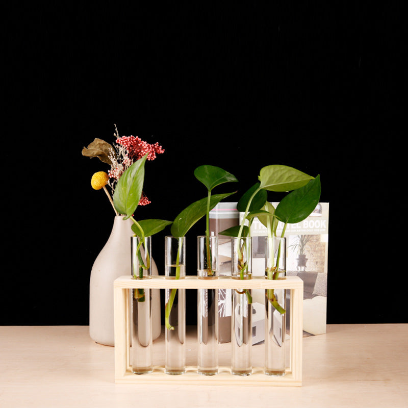 Test Tube Propagation Station, Wood Stand with 5 Tubes