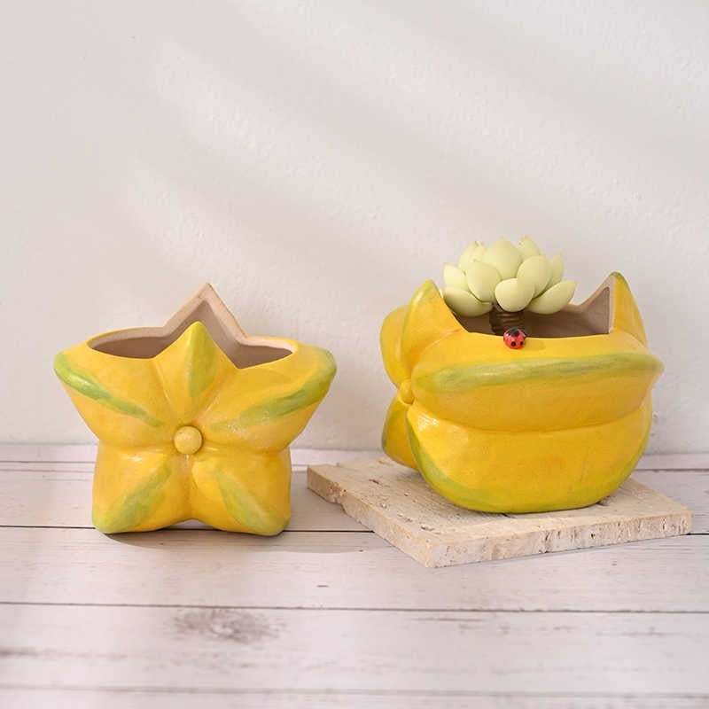 Star Fruit Ceramic Pot, Hand-Painted Succulent Planter