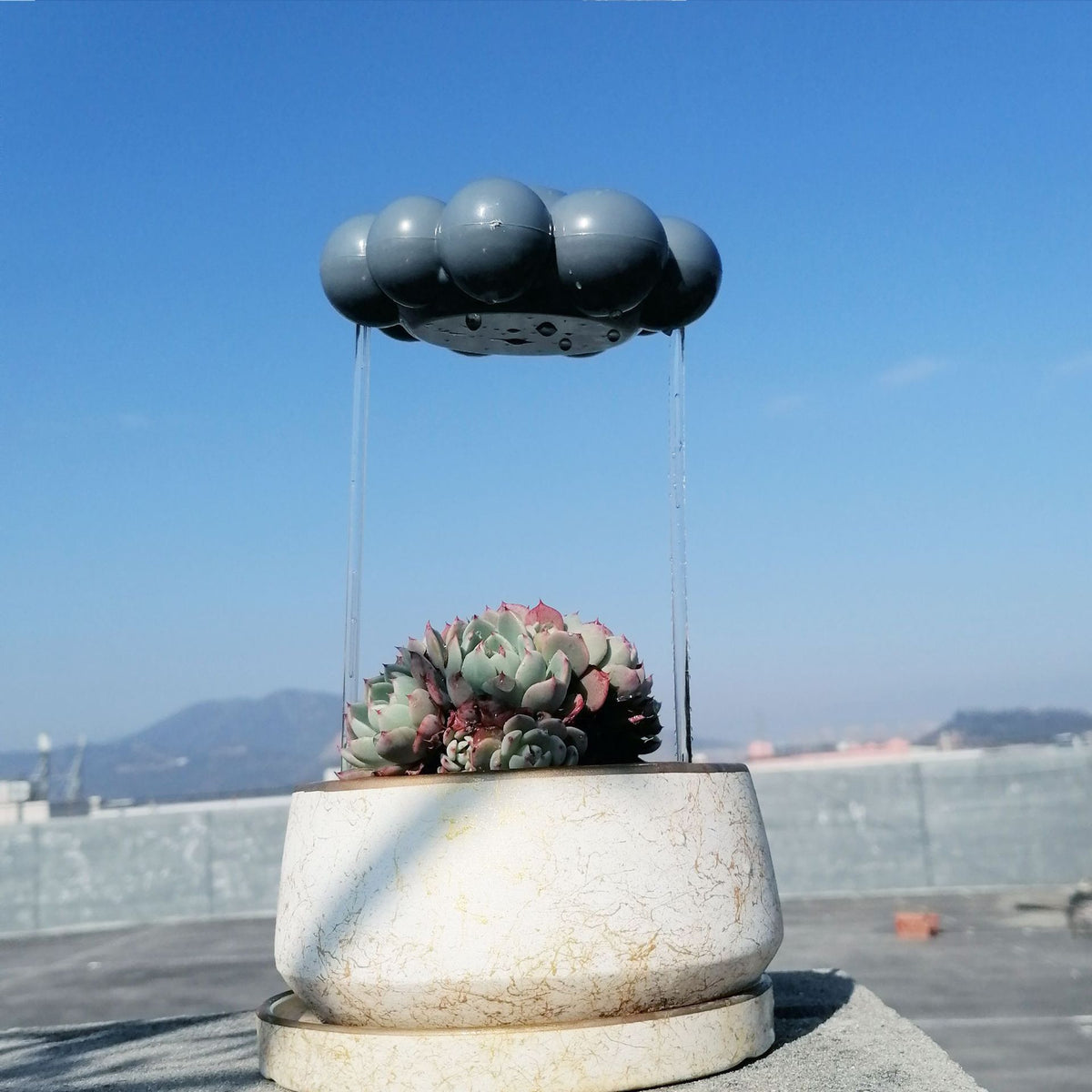 Rain Cloud Watering Stake, Self-Watering Plant Globe