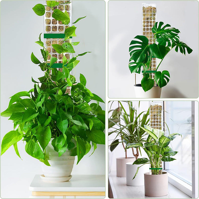 Plastic Moss Pole 23.6" for Climbing Plants, Stackable