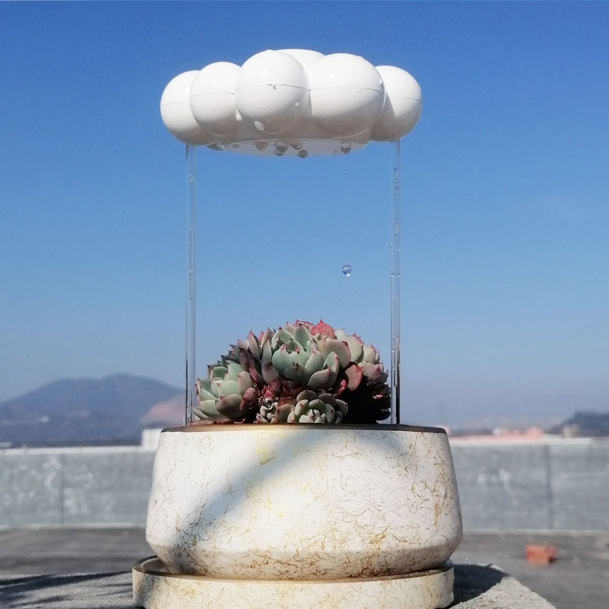 Rain Cloud Watering Stake, Self-Watering Plant Globe