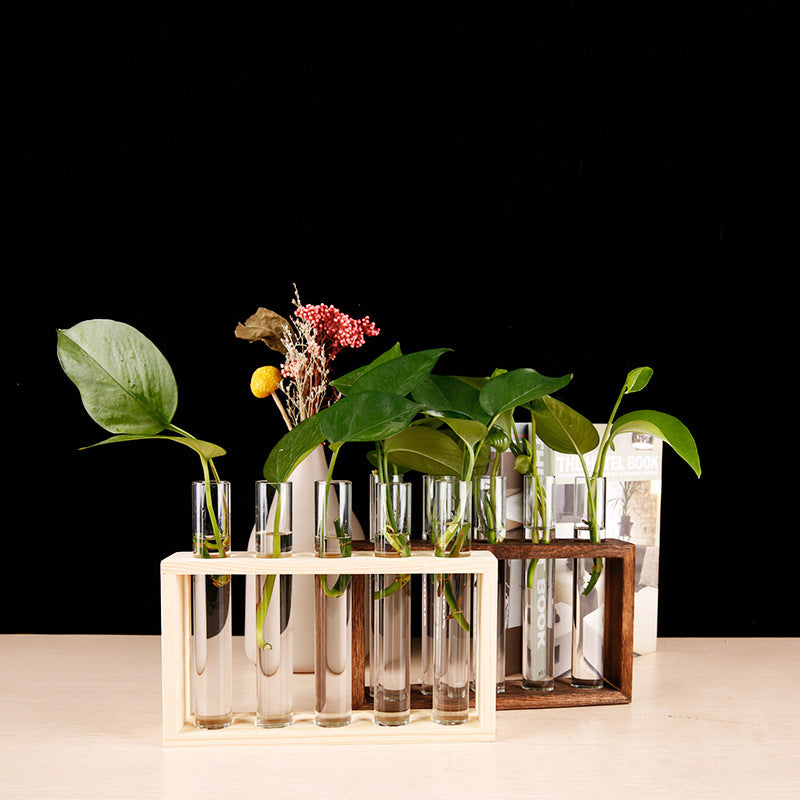 Test Tube Propagation Station, Wood Stand with 5 Tubes