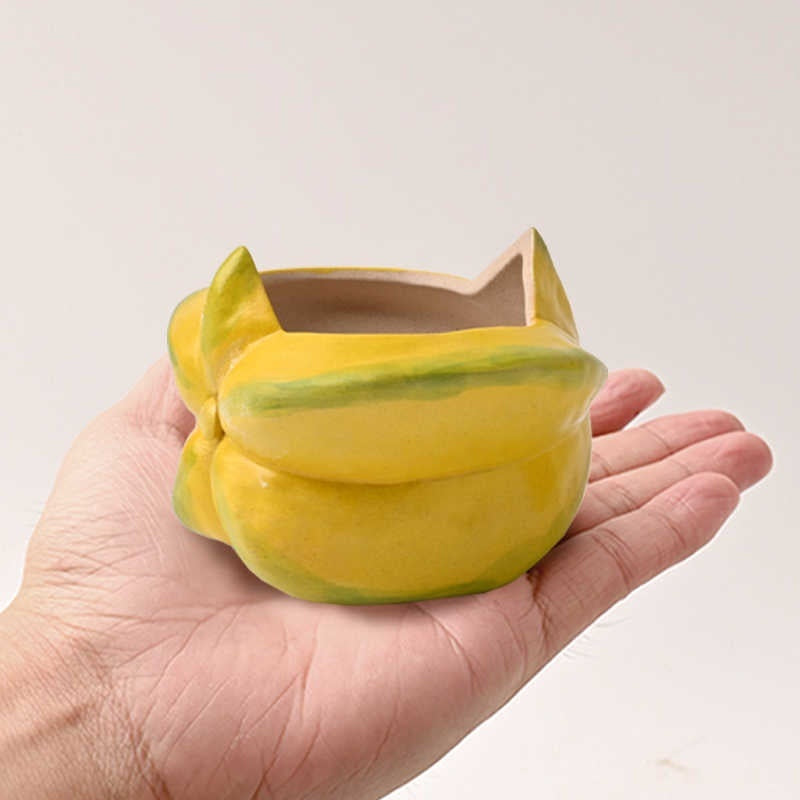 Star Fruit Ceramic Pot, Hand-Painted Succulent Planter