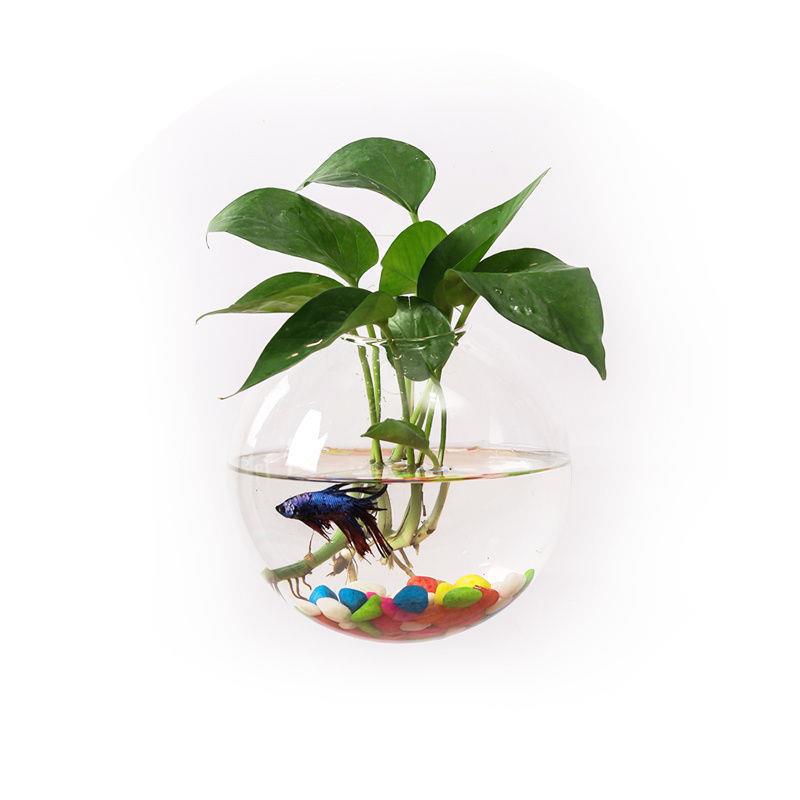 Wall Glass Terrarium, Hanging Bubble Planter