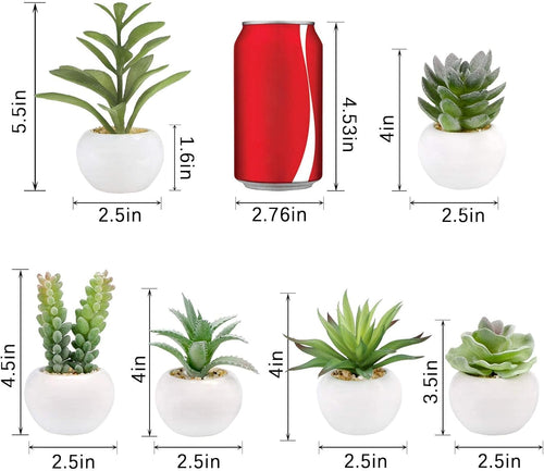 Artificial Succulents in Ceramic Pots, Set of 6 Faux Plants