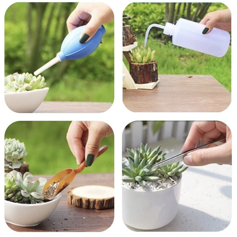 Succulent Tool Kit, Mini Plant Care Set