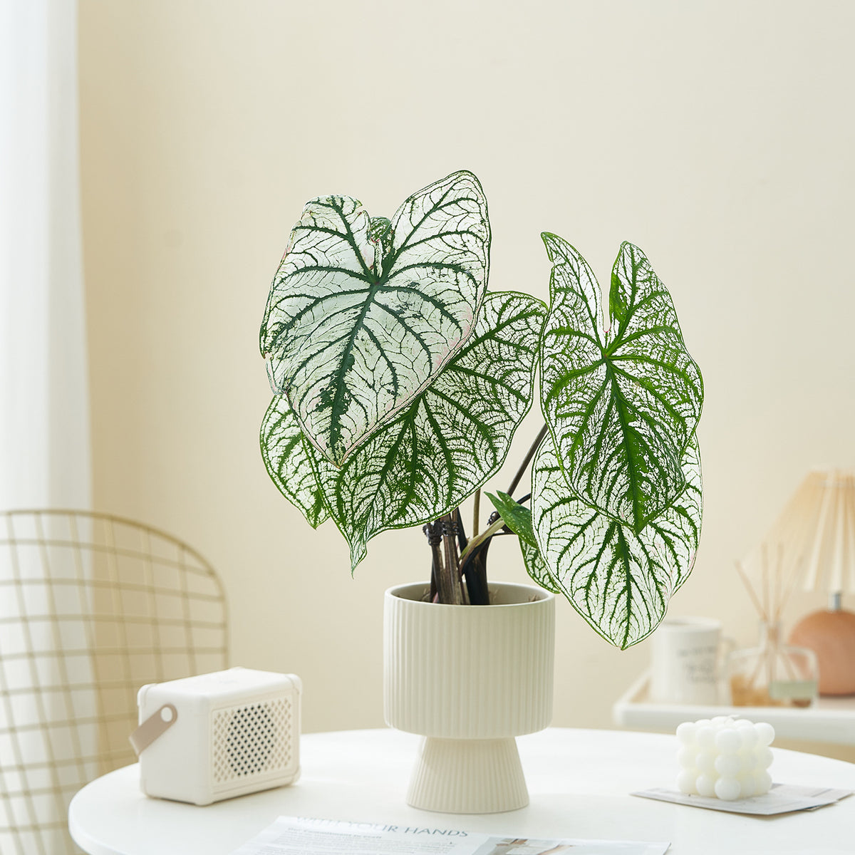 Ribbed Ceramic Planter, Nordic Striped Tabletop Pot