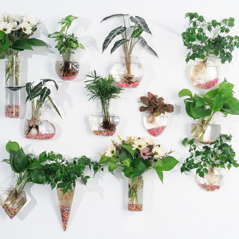 Hanging Glass Propagation Vase, Clear Bubble Shapes