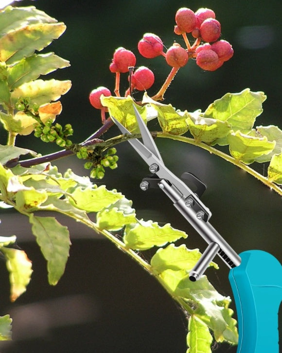 Mini Pruning Snips for Houseplants, Straight Blade