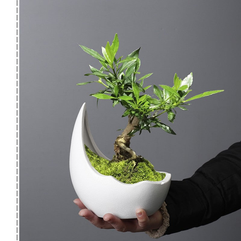 Crescent Moon Ceramic Planter, Matte Nordic Pot