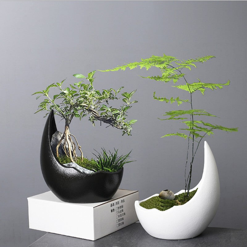 Crescent Moon Ceramic Planter, Matte Nordic Pot