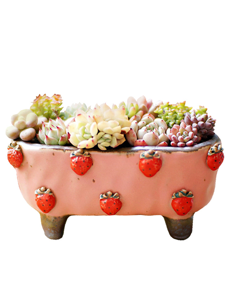 Strawberry Succulent Pot, Hand-Painted Stoneware
