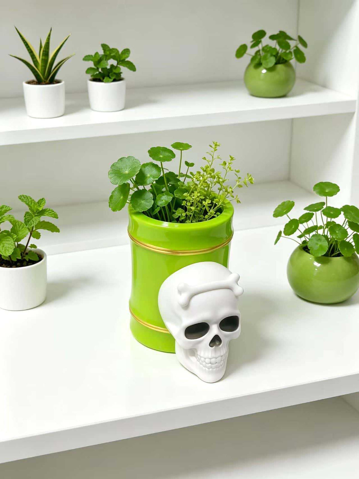Ghost Planter Cup, Skull Mini Succulent Pot