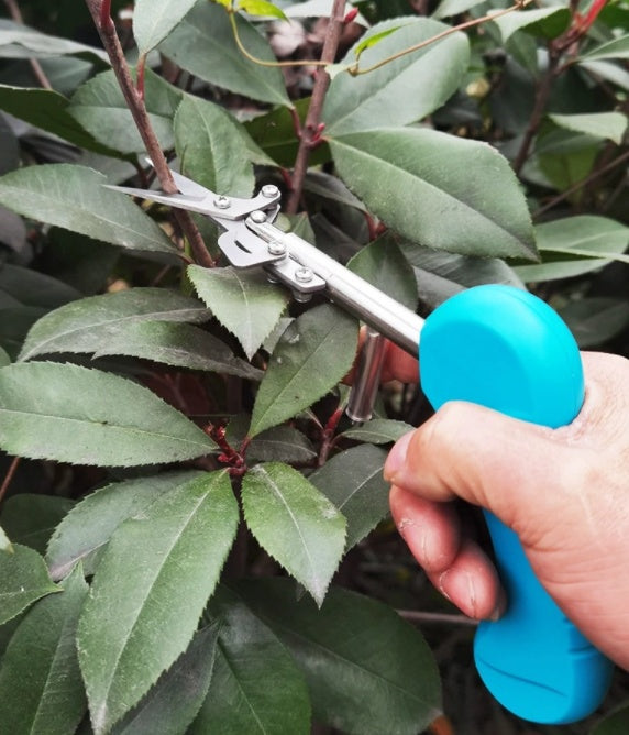 Mini Pruning Snips for Houseplants, Straight Blade