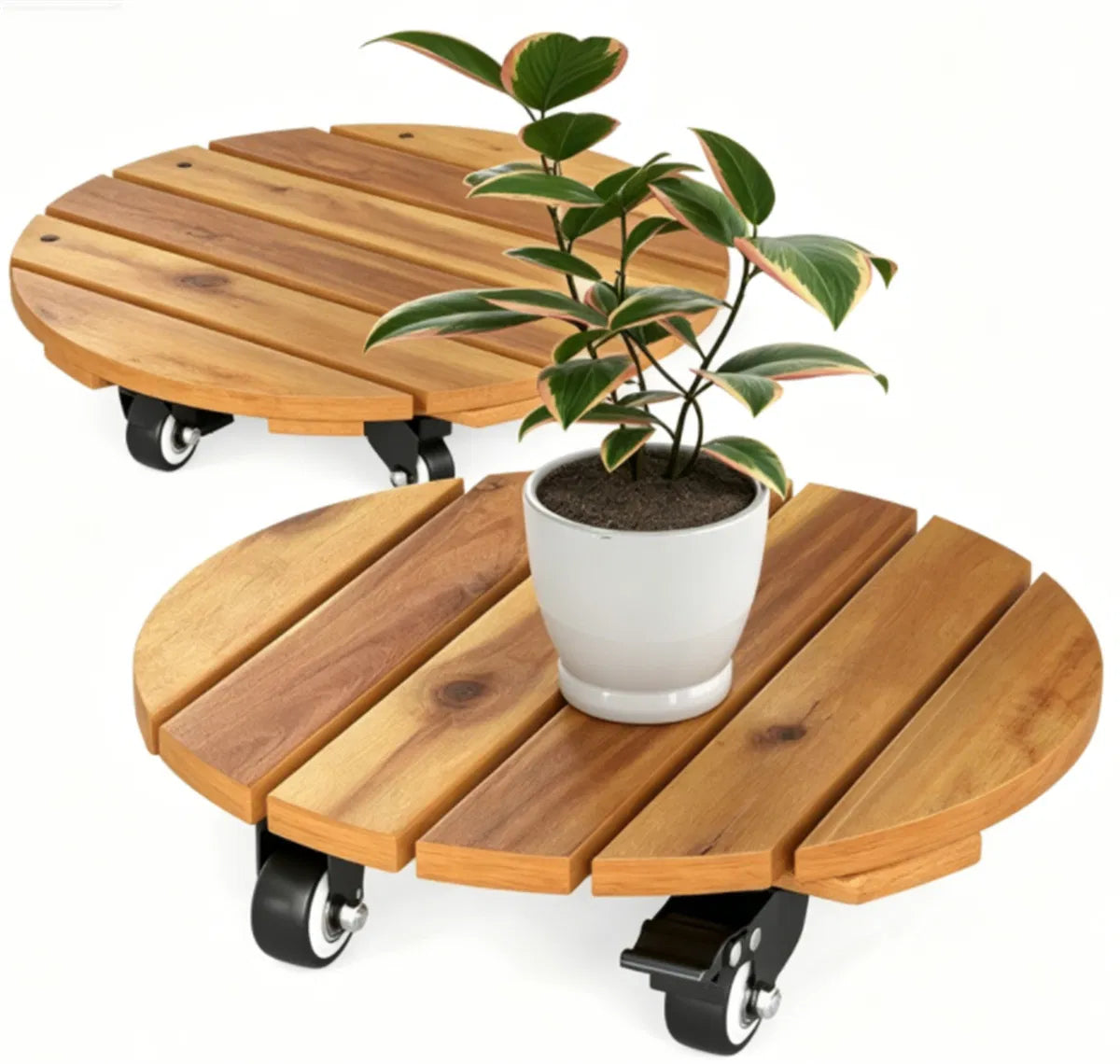 Wooden Plant Caddy with Wheels, Set of 2 Acacia Movers