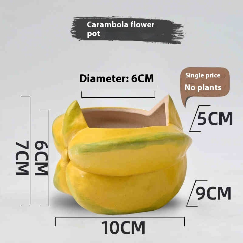 Star Fruit Ceramic Pot, Hand-Painted Succulent Planter
