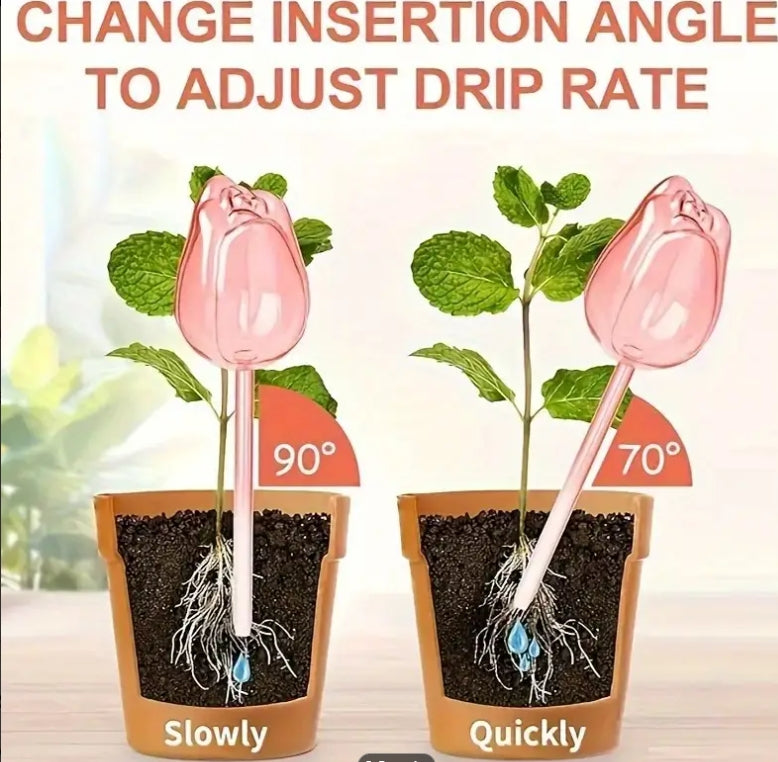 Glass Watering Globes, Tulip Self-Watering Bulbs