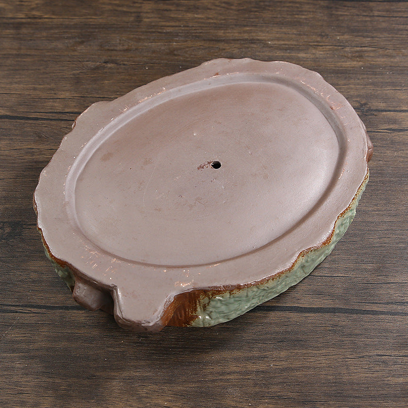 Oval Succulent Bowl Planter, Wide Stoneware