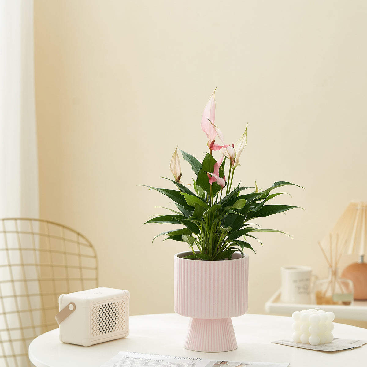 Ribbed Ceramic Planter, Nordic Striped Tabletop Pot