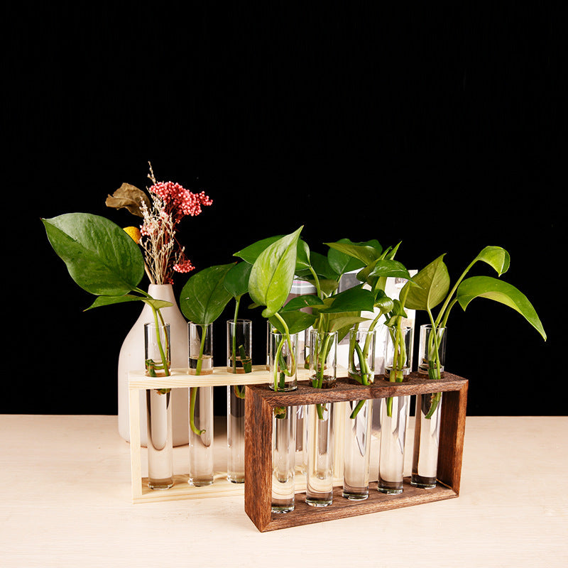 Test Tube Propagation Station, Wood Stand with 5 Tubes