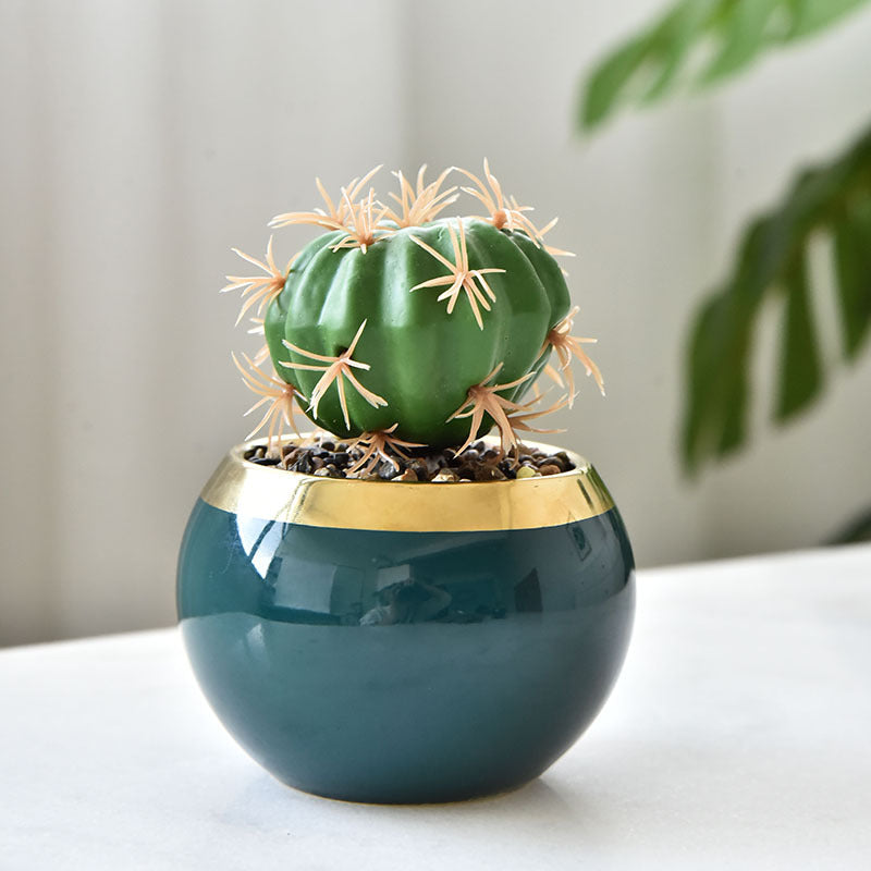 Nordic Ceramic Succulent Pot with Iron Stand Option