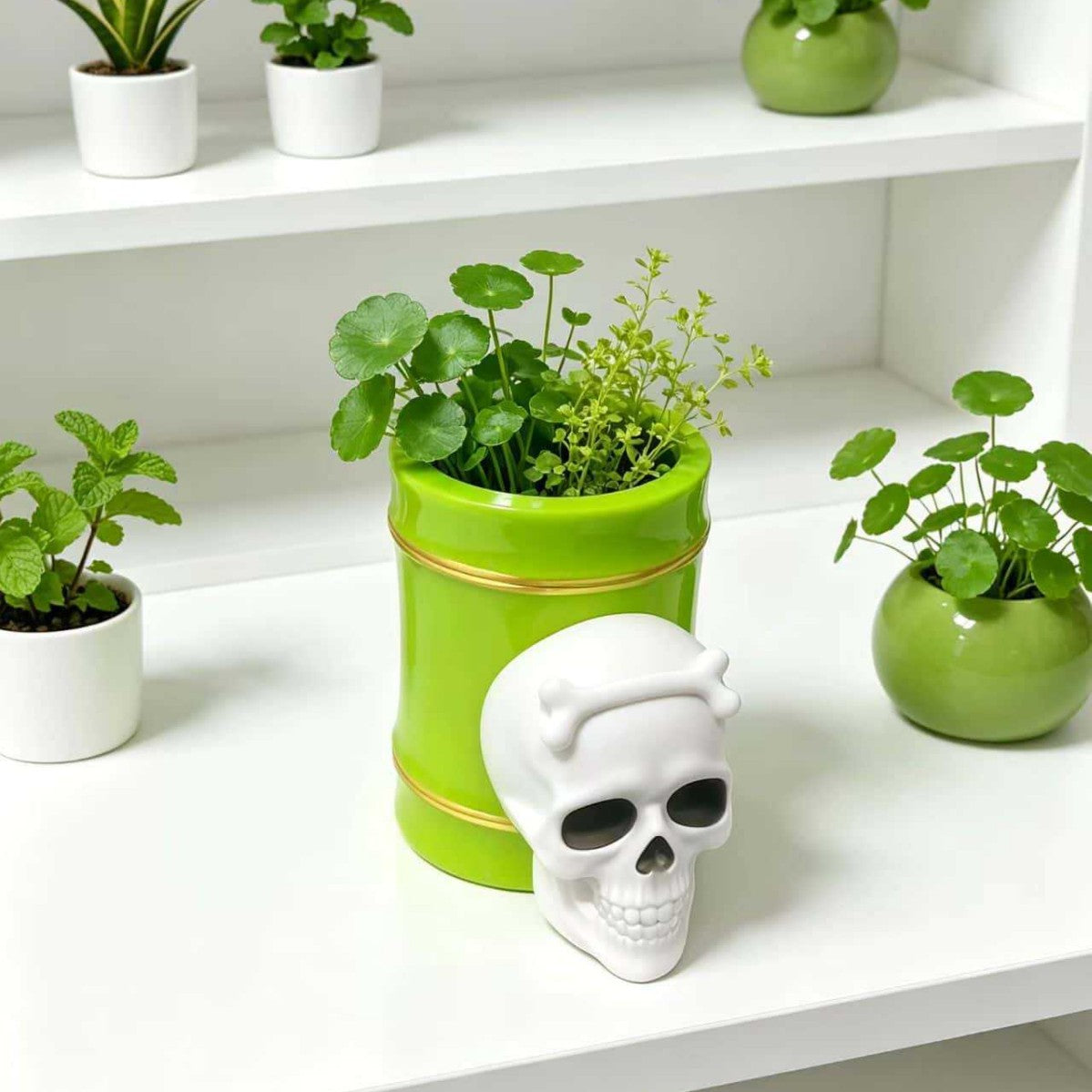 Ghost Planter Cup, Skull Mini Succulent Pot