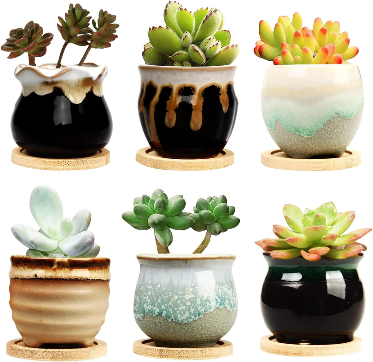 Mini Succulent Pots Set of 6, 2" Ceramic Flowing Glaze