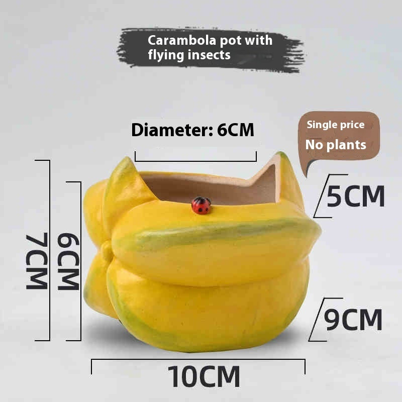 Star Fruit Ceramic Pot, Hand-Painted Succulent Planter