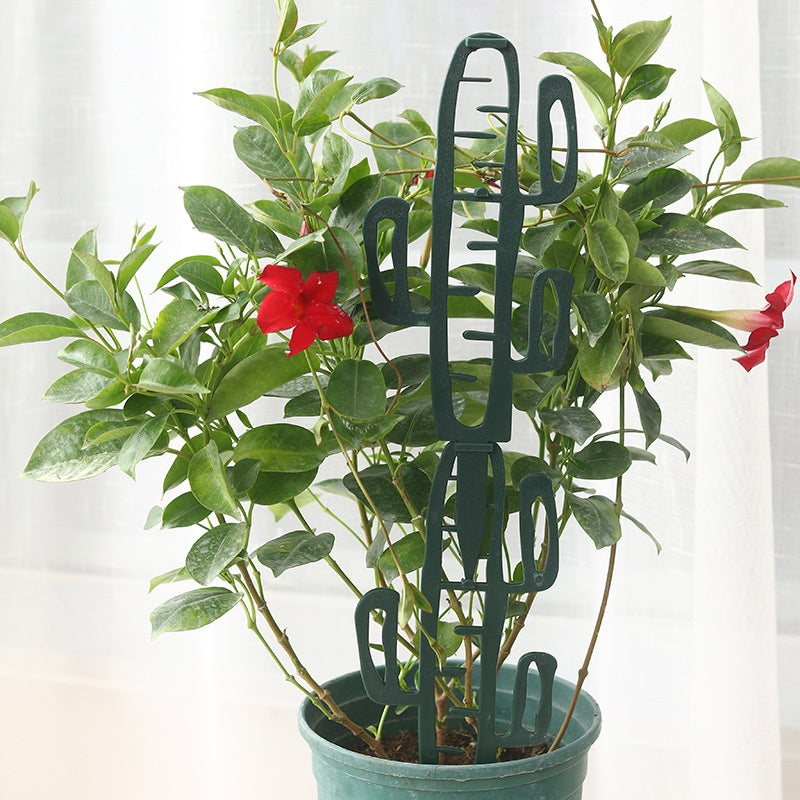 Decorative Plant Support Stakes, Bamboo or Cactus Shape