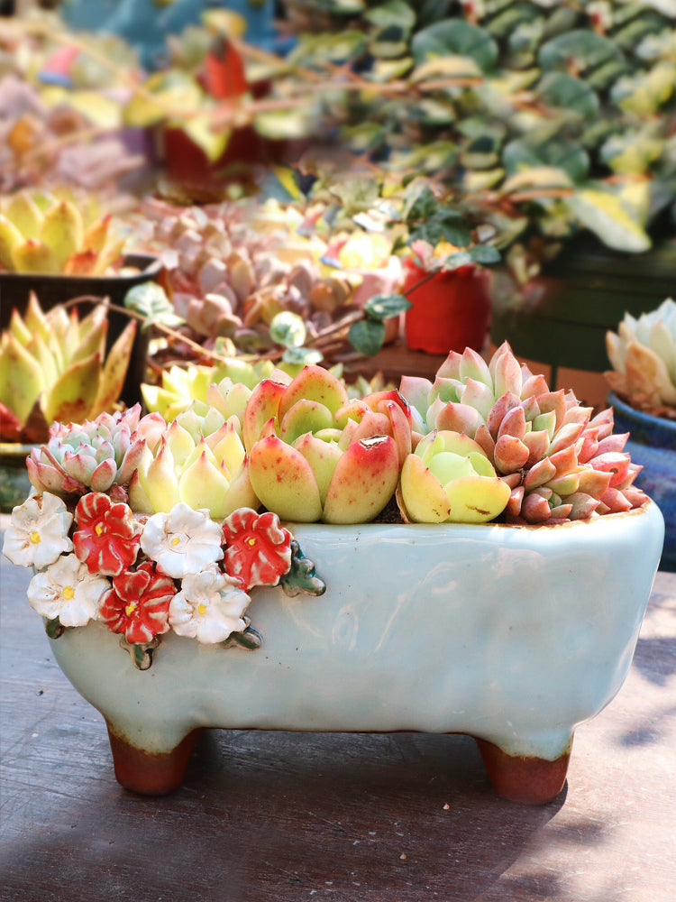 Strawberry Succulent Pot, Hand-Painted Stoneware