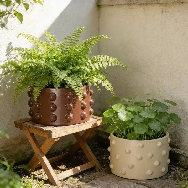 Textured Planter Pot 5", Matte Brown Sculptural Design