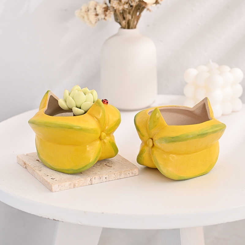 Star Fruit Ceramic Pot, Hand-Painted Succulent Planter